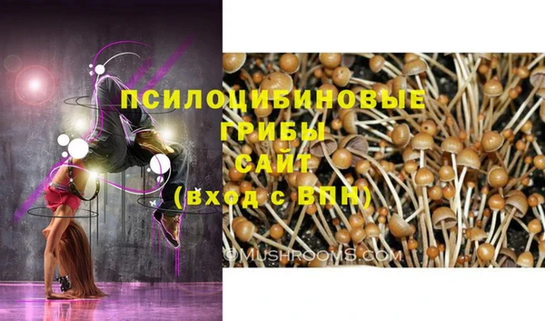 гашик Нея