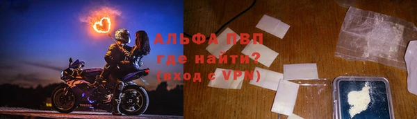 гашик Нея