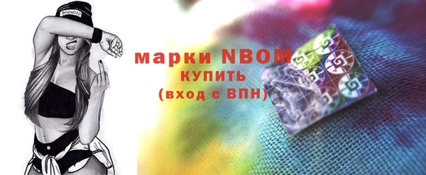 гашик Нея