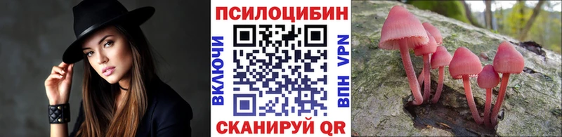 Псилоцибиновые грибы Cubensis  Тюмень 