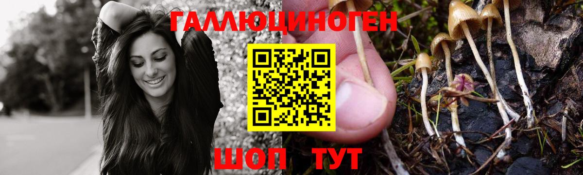 где купить наркотик  Псилоцибиновые грибы MAGIC MUSHROOMS  Вход с VPN  Тюмень 