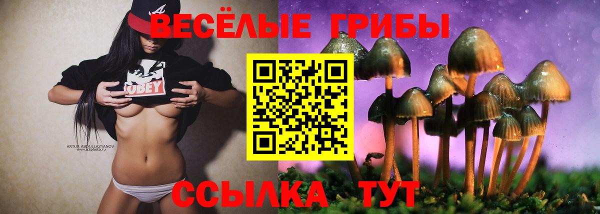 Галлюциногенные грибы прущие грибы Тюмень